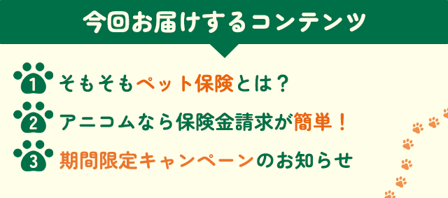 $B:#2s$*FO$1$9$k%3%s%F%s%D(B1.$B$=$b$=$b%Z%C%HJ]81$H$O!)(B2.$B%