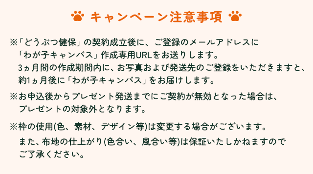 $B!J%-%c%s%Z!<%sCm0U;v9`!K